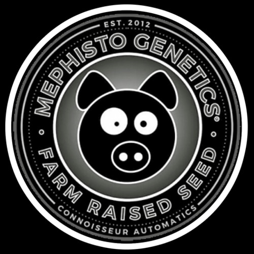 Mephisto Genetics Logo Button